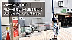 【もちふわ美乳】【久々のSEXで乱れ狂う！】大人しそうな清楚系人妻が他人棒で絶頂！？「夫じゃ満足できない。もっとじっくりSEXしたい･･･」って恥ずかしそうにチ●ポむしゃぶる姿がエロ過ぎるッ！！！ at 神奈川県相模原市 橋本駅前 画像1