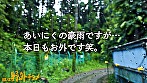【人妻と外でヤッたらどうなる?】スレンダーな美脚奥様と野外でハメ撮り。旦那さんとは1年レス。欲求不満すぎておっ始める前から奥様のアソコはぐちょ濡れ。久しぶりのち●ぽは相当気持ち良かったようで体と膣内をビクビク痙攣させて絶頂してました笑《2024年ベストねっと~りフェラチオ賞》《神尻ほっそり美脚》《2024年最も濡れた不倫》【全国人妻野外チョメ#008】 画像1