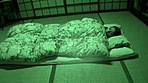 【アダルト動画】母さんに夜這い 美原咲子 イメージ2