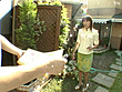 お義母さんに上から責められてボクはもう･･･ サンプル画像1