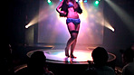ストリップ劇場 美人ダンサーの本番ナマ板ショー 画像2