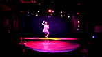 ストリップ劇場Ⅱ 美人ダンサーの本番ナマ板ショー 画像2