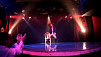 ストリップ劇場Ⅲ 潜入ルポ！！美人ダンサーの過激本番ナマ板ショー 画像3