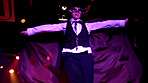 ストリップ劇場Ⅳ 潜入ルポ！！美人ダンサーの過激本番ナマ板ショー 画像2