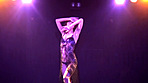 ストリップ劇場番外編 潜入！！レズビアンショー 女同士で巨大ディルドゥを挿入！！ 画像5