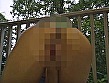 Digest Image 4