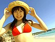 リトルバード 古谷香織 画像1