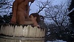 素人娘ハメちゃいます！ 05 サンプル画像17