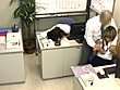 会社の皆には絶対言わないで！私たち上司や同僚に夜這いされちゃいました･･･2 サンプル画像3