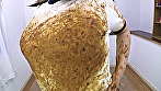 Digest Image 8