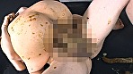 Digest Image 5