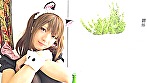 ろしにゃん日和 火将ロシエル 画像1
