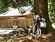 狂性ワイセツ淫虫の森 白石ゆか - Image 7