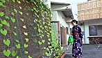 桃源郷 凛々奏