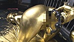 金粉銀粉＆ペイント大全 究極のウエット＆メッシー総合カタログ サンプル画像9