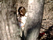 Virgin Love 来栖りお - Image 20