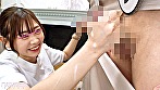 サンプル画像