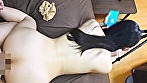 サンプル画像
