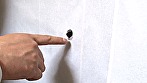 「俺だよ、俺･･･」障子から突き出るチ○ポが他人棒と気づかず酔った妻が生フェラ･･･さらに壁越し挿入 サンプル画像21