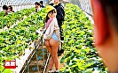接客中に顔を紅潮させながら感じまくるバイト娘13 ~パン屋、洗車場、いちご農園、たこ焼き屋~ cs nat2403 12 T1619169589 - 接客中に顔を紅潮させながら感じまくるバイト娘13 ~パン屋、洗車場、いちご農園、たこ焼き屋~