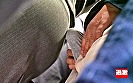 Digest Image 10
