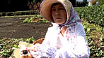 野良熟女 田舎の肝っ玉どすけべ母さん - Image 1