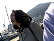 生撮り背徳人妻温泉旅行 ＃13 サンプル画像6