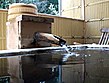 生撮り背徳人妻温泉旅行 ＃18 サンプル画像3