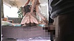 サンプル画像