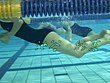 Tバック水泳部 ～愛の水中平泳ぎ～ 画像1