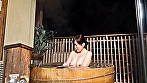 「湯けむり奥様ひとり旅」 菅野礼奈 サンプル画像17