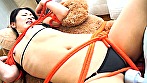 Digest Image 5