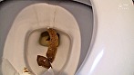 自撮り大小便20回の記録 画像8