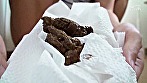 自撮り大小便20回の記録 画像11