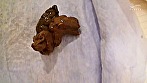 自撮り大小便20回の記録 画像14