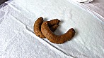 夫も気が付かなかった！妻の豪快極太便 画像4