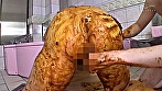 Otsuka Floppy’s Wonderful shits 糞まみれ＆糞遊び BEST 画像7