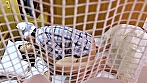 人妻看護師たちの日常夜勤 昼間隠していた性欲･･･ 第六話 画像19