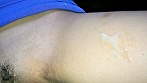 Digest Image 8