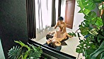 Digest Image 7