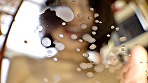 みるく屋 あおい28歳 母乳孕（ハラ）スメント 真性中出し 旦那が流出 サンプル画像10