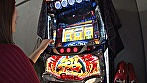 サンプル画像