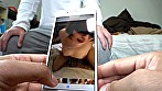 へんたいかっぷるディスカバリーxPRESTIGE PREMIUM 01 画像17