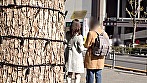 サンプル画像
