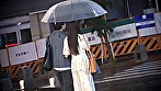 サンプル画像