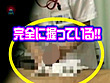 フェラチオナースは存在した！（3）～静岡県○病院の看護婦は入院患者を抜いてくれます！ サンプル画像21