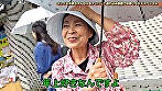 キレイなお婆ちゃん6人をナンパして連れ込み旅館で中●しSEXスペシャル～スケベな60歳から女盛りの72歳まで 画像1