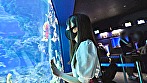 素人女子大生【限定】ありすちゃん20歳 有名女子大に通う清楚系女子が興味本位でマッチングアプリに手を出して楽しく水族館デートした後に清楚の欠片も無くなるくらい絶叫中出しSEX！！ 画像6