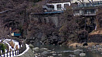 母子交尾 【那須塩原路】 青木りかこ サンプル画像6