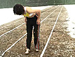 現役陸上選手がAVデビュー！2 山下美穂 サンプル画像6